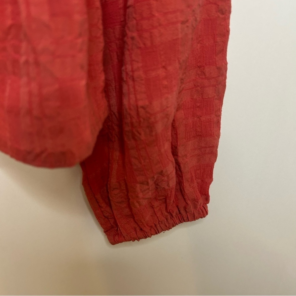 *NWOT* Evereve Peplum Crinkle Blouse in Mineral Red, Size Medium - Picture 6 of 11